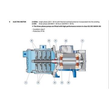 Pedrollo Algeria  1HP Multi-Stage Centrifugal Pump - 4CRm100-N -  HABLAMOS ESPANOL