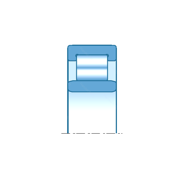 NU19/530 NTN Cylindrical Roller Bearings